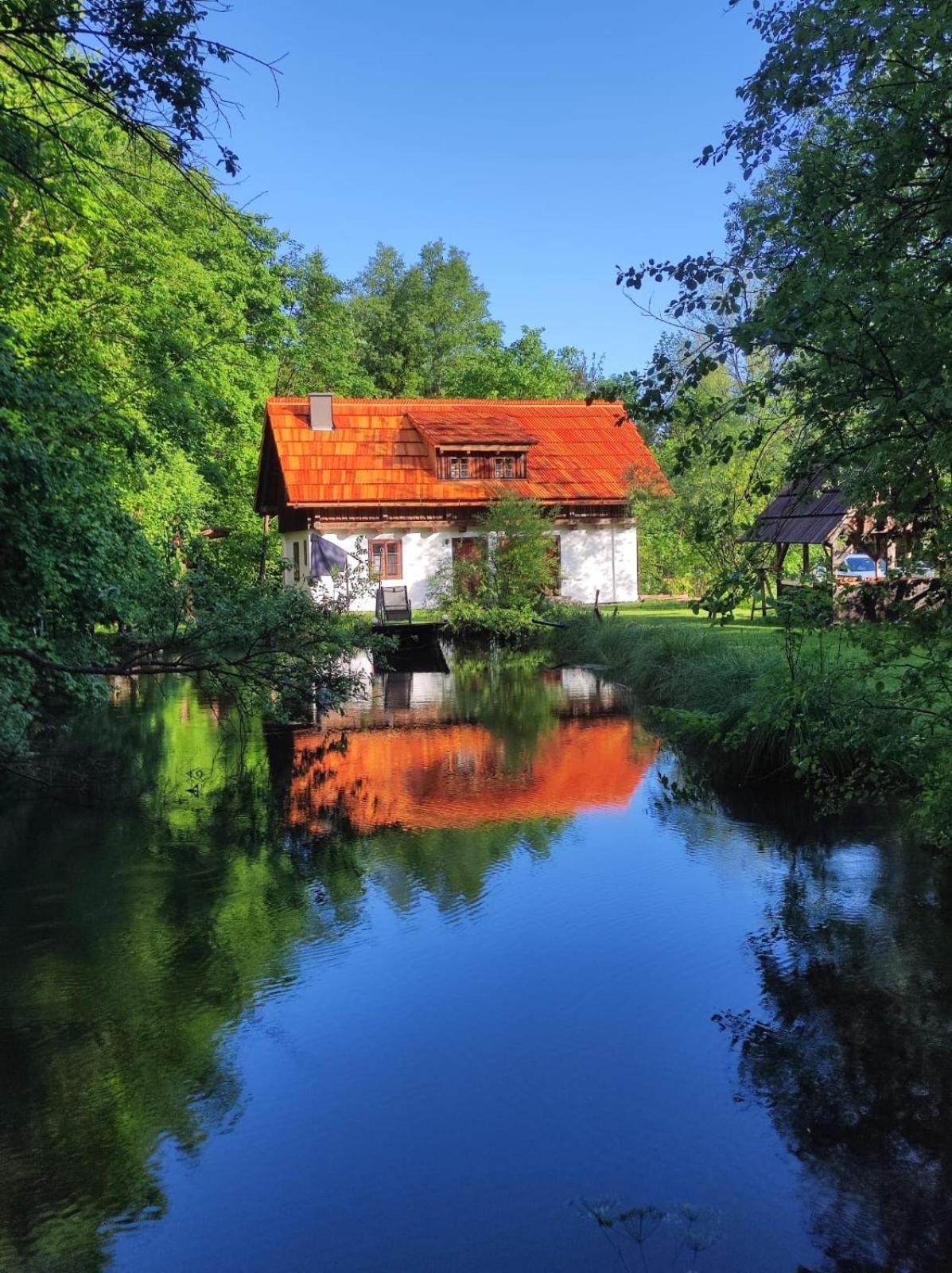 Ferienhaus Klopeinersee Kaernten Sittersdorf Dış mekan fotoğraf